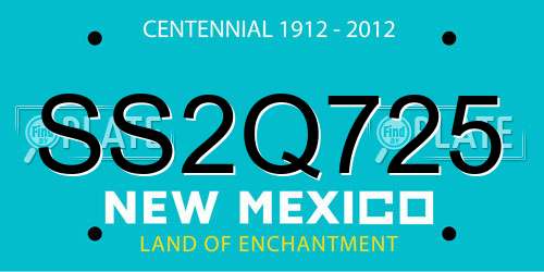 SS2Q725 New Mexico License Plate