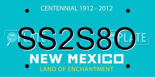 SS2S8O New Mexico License Plate