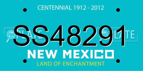 SS48291 New Mexico License Plate