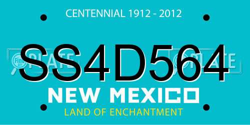 SS4D564 New Mexico License Plate