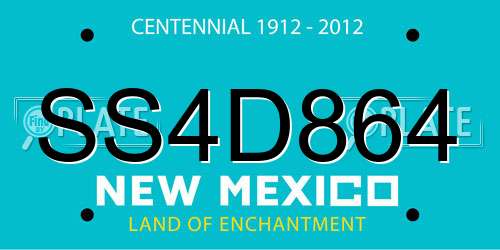 SS4D864 New Mexico License Plate