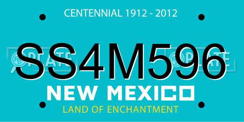SS4M596 New Mexico License Plate