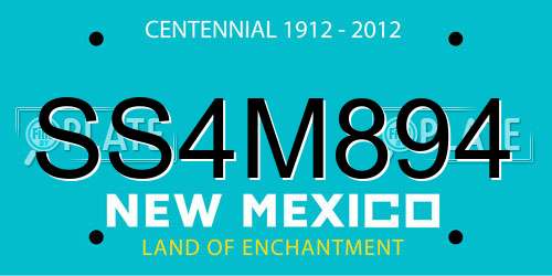 SS4M894 New Mexico License Plate