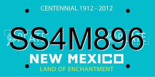 SS4M896 New Mexico License Plate