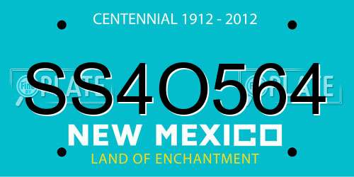 SS4O564 New Mexico License Plate
