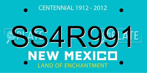 SS4R991 New Mexico License Plate