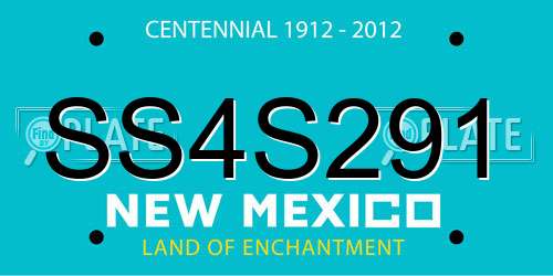 SS4S291 New Mexico License Plate
