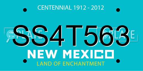 SS4T563 New Mexico License Plate