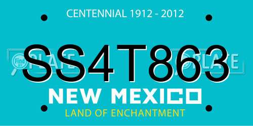 SS4T863 New Mexico License Plate
