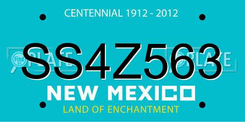 SS4Z563 New Mexico License Plate