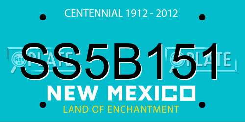 SS5B151 New Mexico License Plate