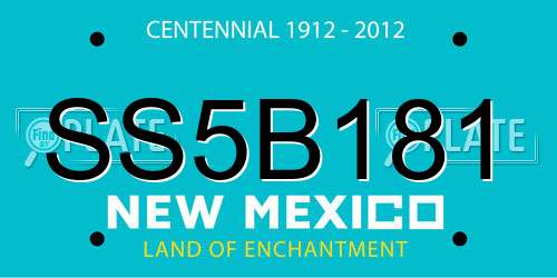 SS5B181 New Mexico License Plate