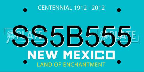 SS5B555 New Mexico License Plate