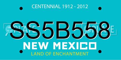 SS5B558 New Mexico License Plate