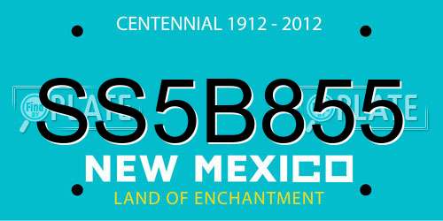 SS5B855 New Mexico License Plate