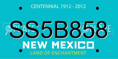 SS5B858 New Mexico License Plate