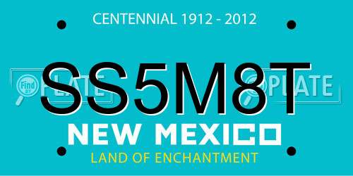 SS5M8T New Mexico License Plate