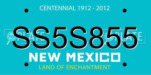 SS5S855 New Mexico License Plate