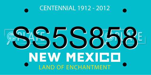 SS5S858 New Mexico License Plate