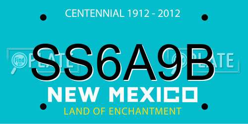 SS6A9B New Mexico License Plate