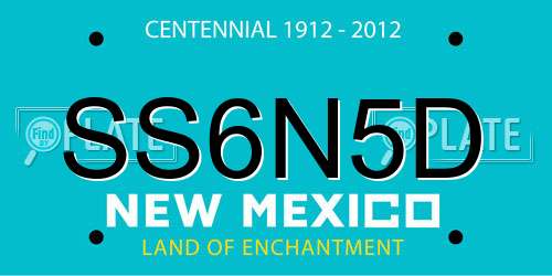 SS6N5D New Mexico License Plate
