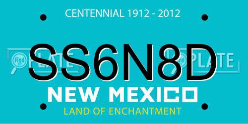 SS6N8D New Mexico License Plate