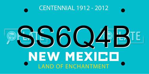 SS6Q4B New Mexico License Plate