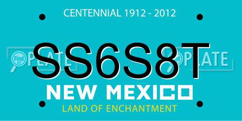SS6S8T New Mexico License Plate