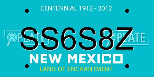 SS6S8Z New Mexico License Plate