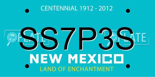 SS7P3S New Mexico License Plate