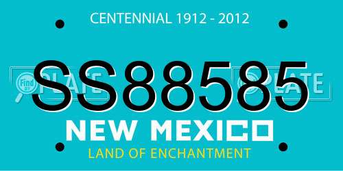 SS88585 New Mexico License Plate