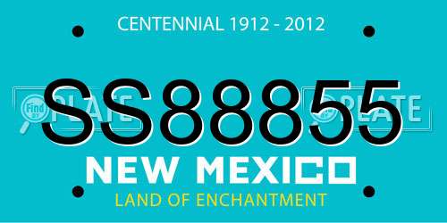 SS88855 New Mexico License Plate