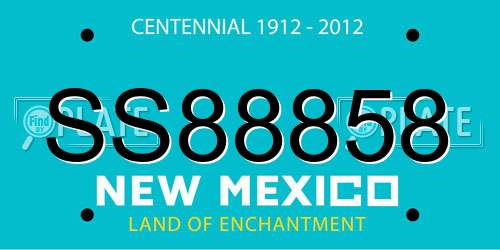 SS88858 New Mexico License Plate