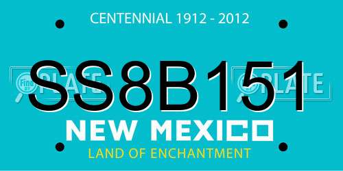 SS8B151 New Mexico License Plate