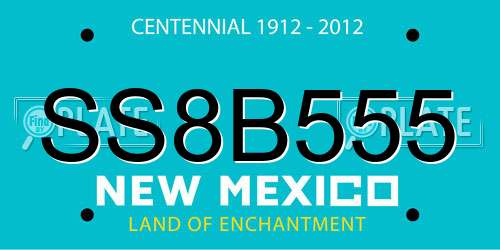 SS8B555 New Mexico License Plate