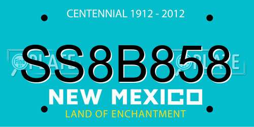 SS8B858 New Mexico License Plate