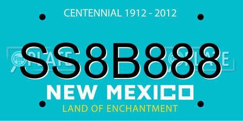 SS8B888 New Mexico License Plate