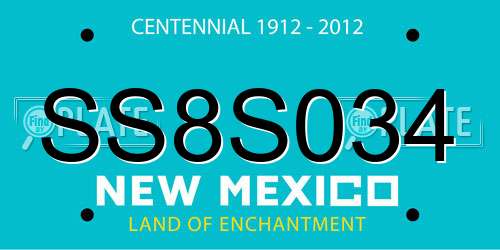 SS8S034 New Mexico License Plate
