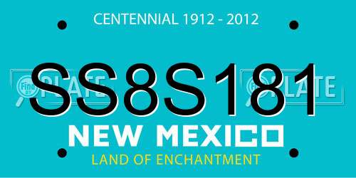 SS8S181 New Mexico License Plate