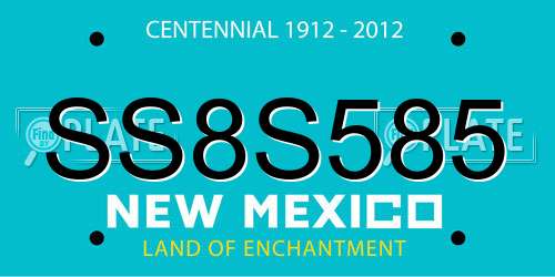 SS8S585 New Mexico License Plate