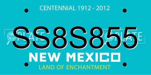 SS8S855 New Mexico License Plate