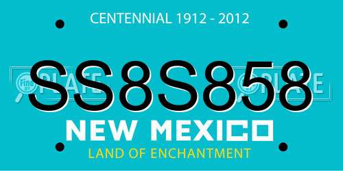 SS8S858 New Mexico License Plate
