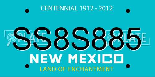 SS8S885 New Mexico License Plate