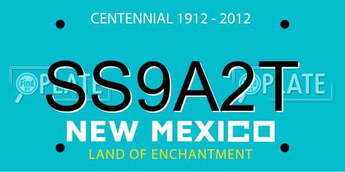 SS9A2T New Mexico License Plate