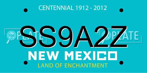 SS9A2Z New Mexico License Plate