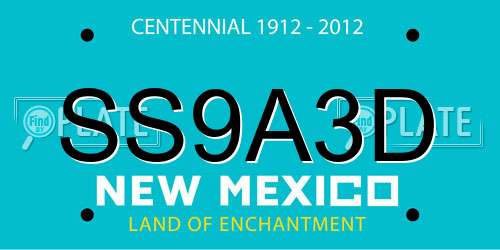 SS9A3D New Mexico License Plate