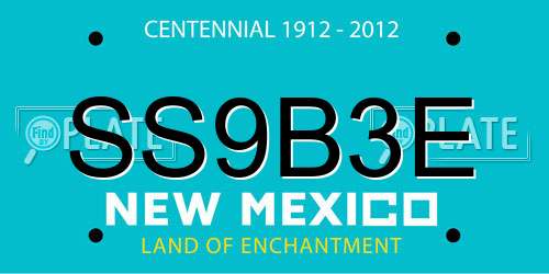 SS9B3E New Mexico License Plate