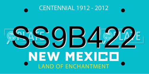 SS9B422 New Mexico License Plate