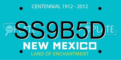 SS9B5D New Mexico License Plate