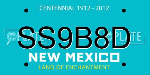 SS9B8D New Mexico License Plate